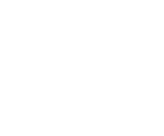 ic-wit.png